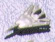 f14a.jpg (2622 バイト)