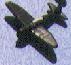 p47.jpg (2131 バイト)